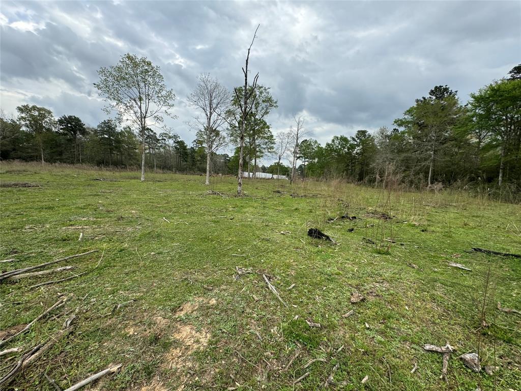 606 Stonewall Trl, LIVINGSTON, TX 77351