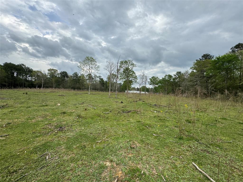 606 Stonewall Trl, LIVINGSTON, TX 77351