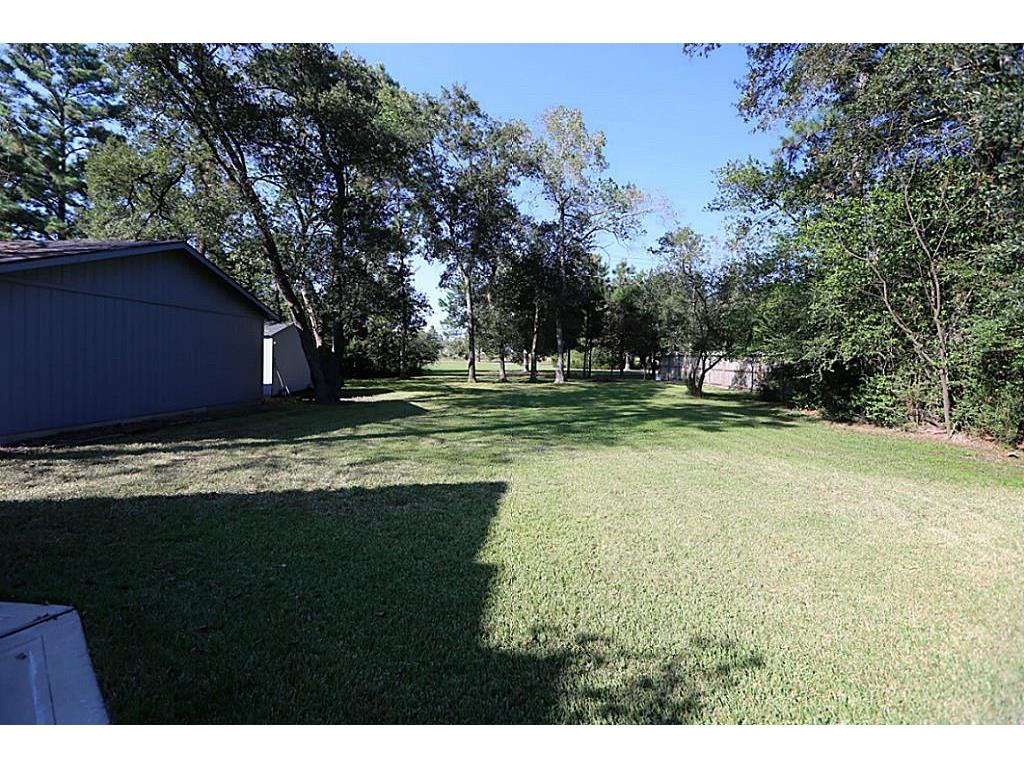 11210 Albury Park Ln, TOMBALL, TX 77375