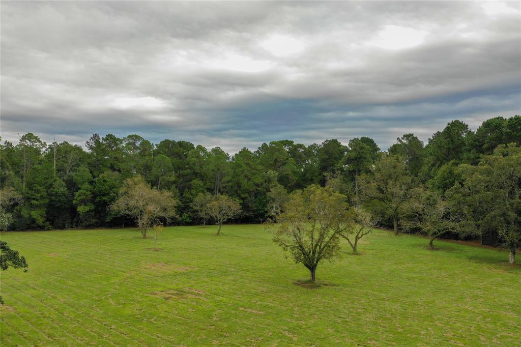 1856 Fm 2799, JASPER, TX 75951