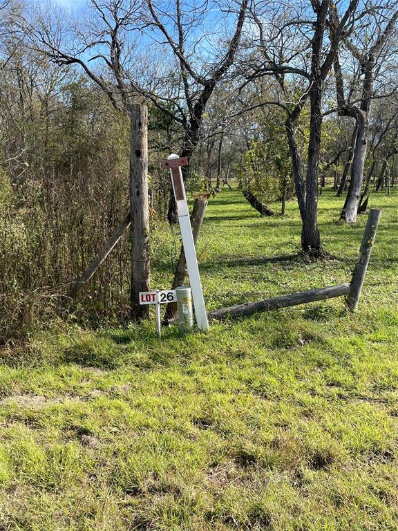 15425 Tierra Grande Dr, NEEDVILLE, TX 77461