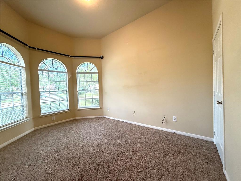 3221 River Birch Dr, PEARLAND, TX 77584