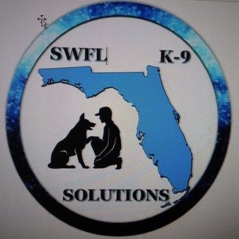 Train Your Dog With the Best Dog Training Company in Fort Myers, FL