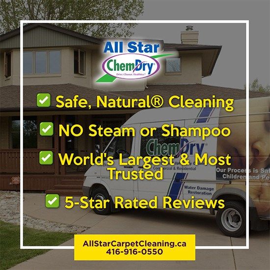 Elevate Your Business with Commercial Carpet Cleaning All Star Chem