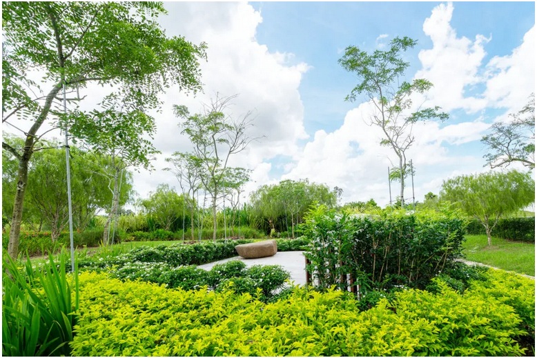 Prince’s Landscape Pte Ltd Offers The Best Tree Planting Services