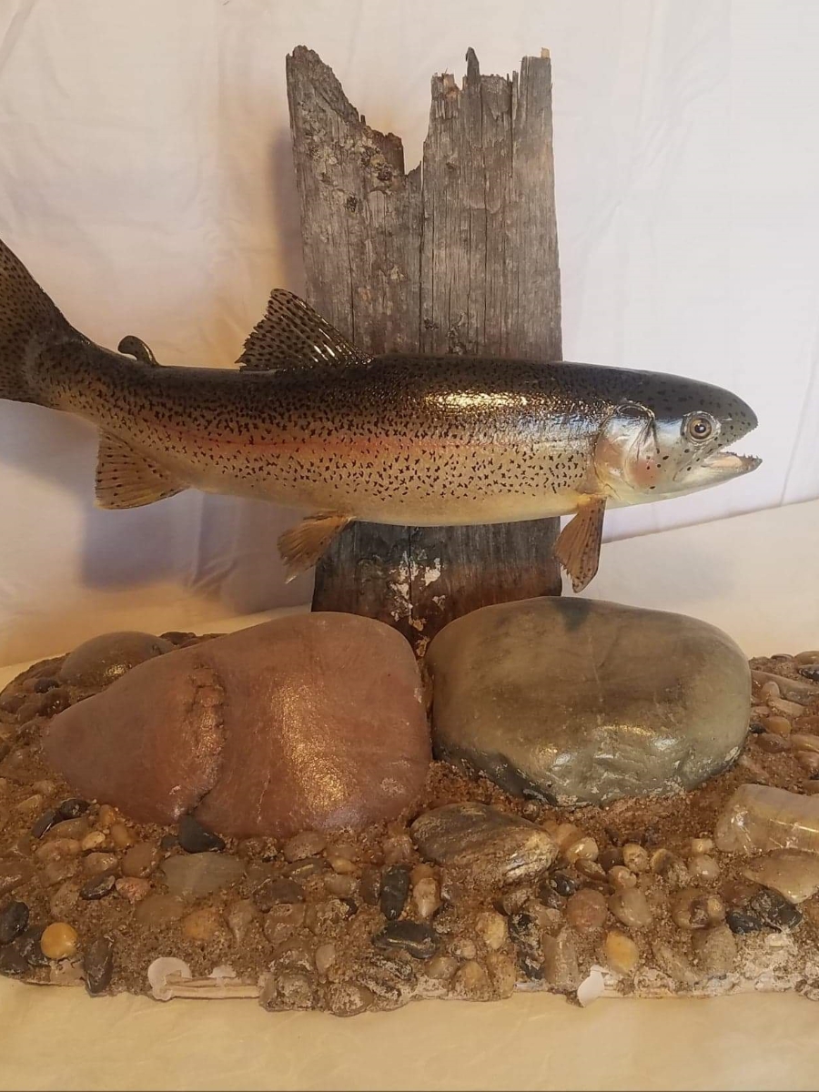 Services Pleasant Ridge Taxidermy