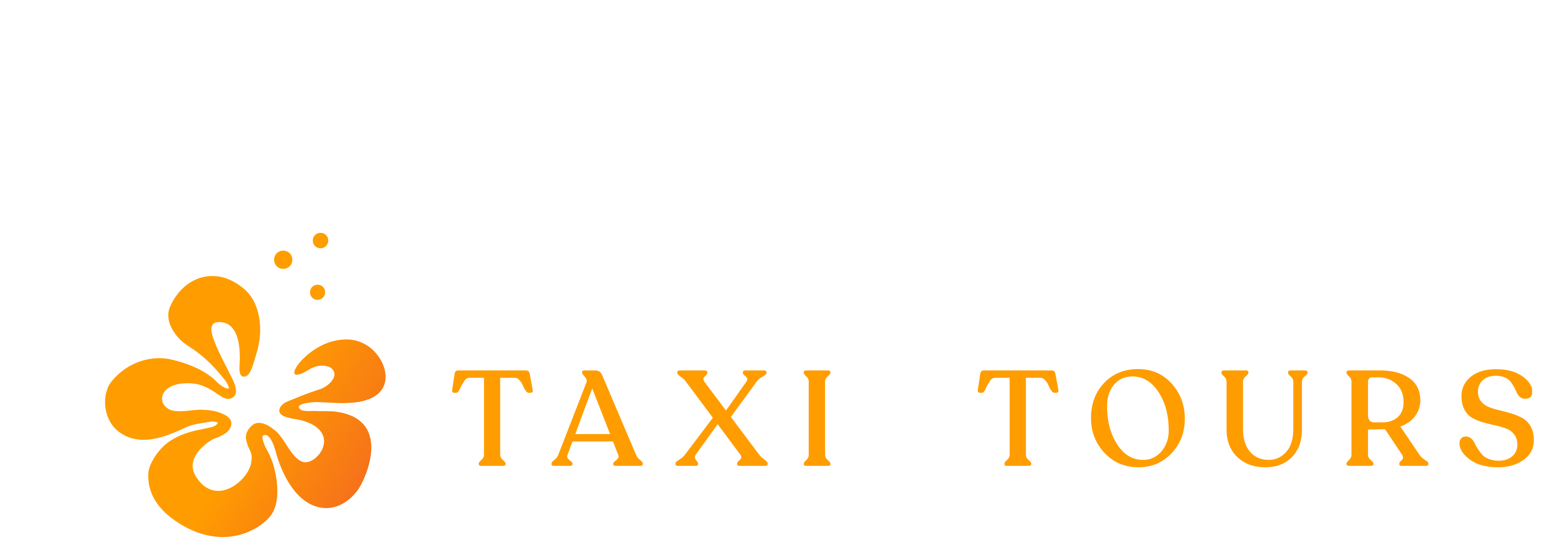 Taxi Service • Puerto Rico Taxi & Tours