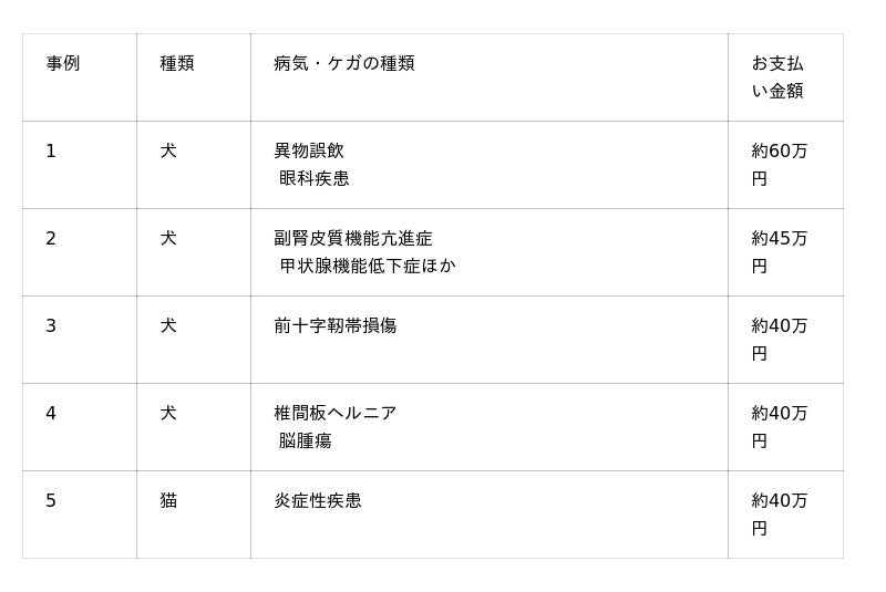 9+ Ps 保険 支払い 例 References