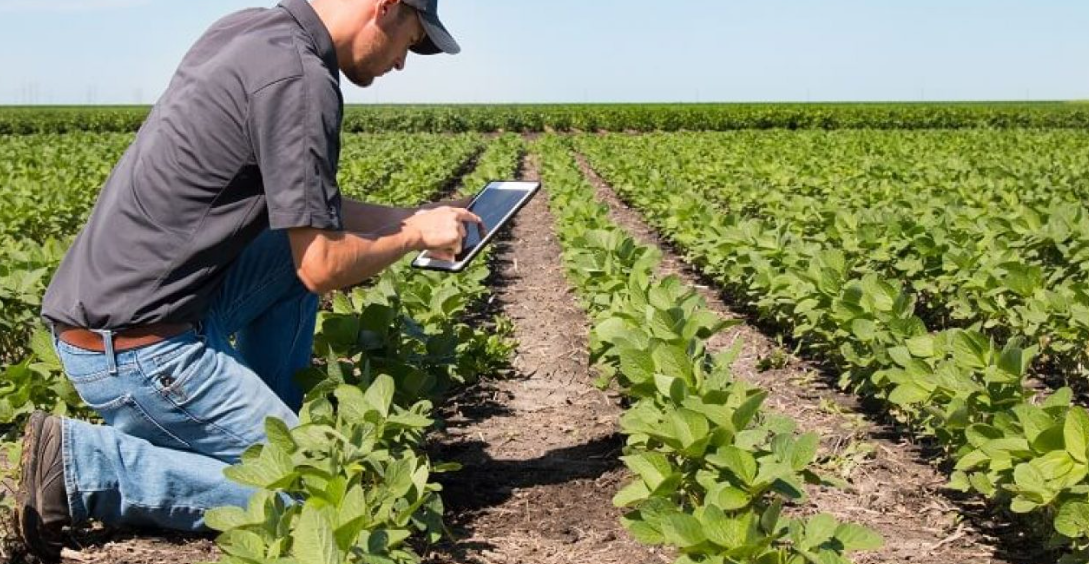 Enable the Farm Inventory Management System to Ensure Profitability