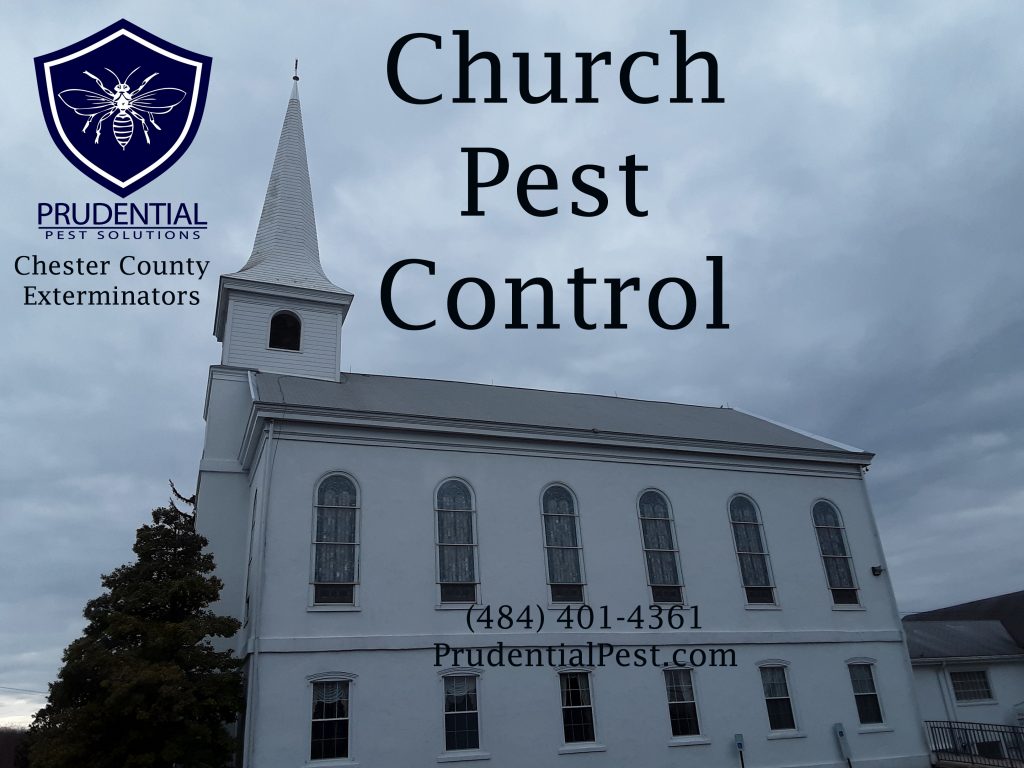 Church Pest Control Prudential Pest Solutions