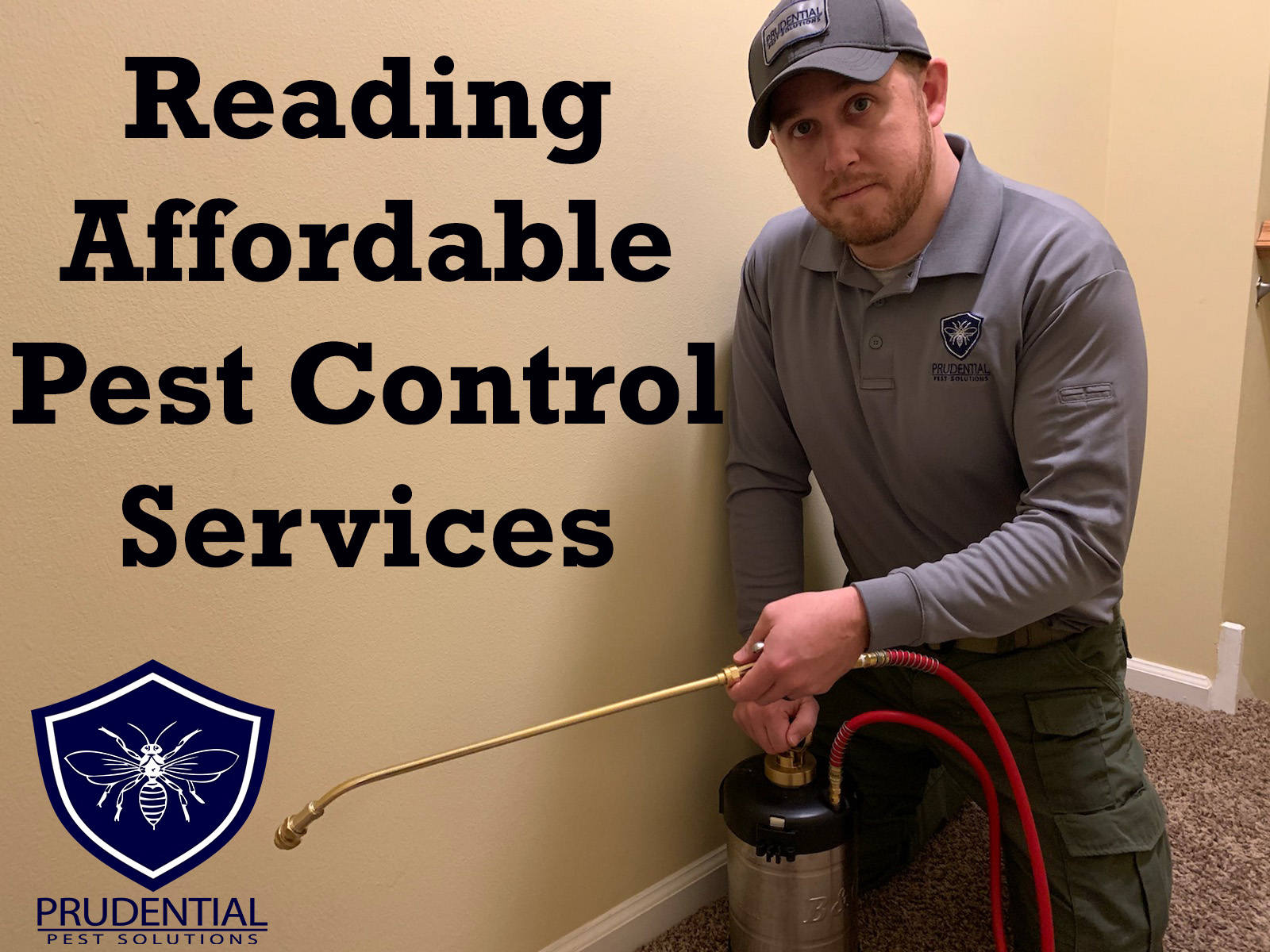 Reading Pest Exterminators Prudential Pest Solutions