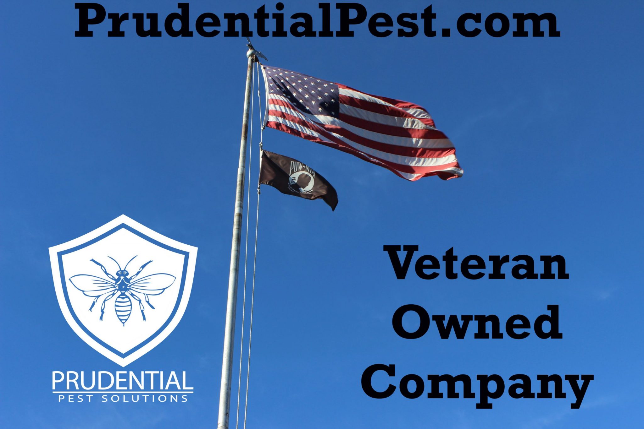 Reading Pest Exterminators Prudential Pest Solutions