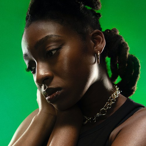 LITTLE SIMZ INTROVERT Province