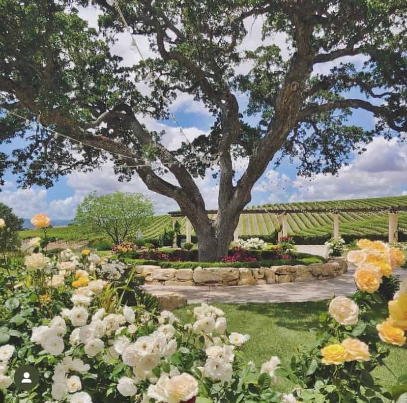 Tips for a Perfect Paso Wine Tasting Picnic Paso Robles Wineries