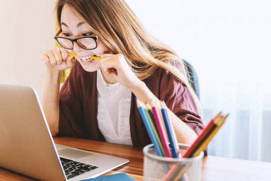 Why There Should be Less Homework in Schools Wolf Prints