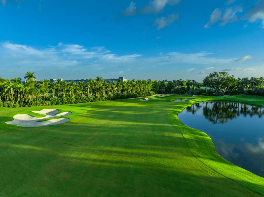 The Shell Bay Golf Club a Millionaire’s Paradise Wolf Prints Media