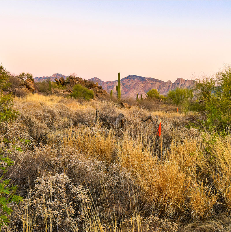 Pryce Development Pryce Development