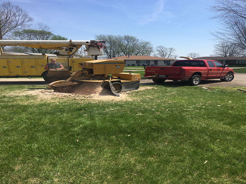 Pryer's TopNotch Tree Service