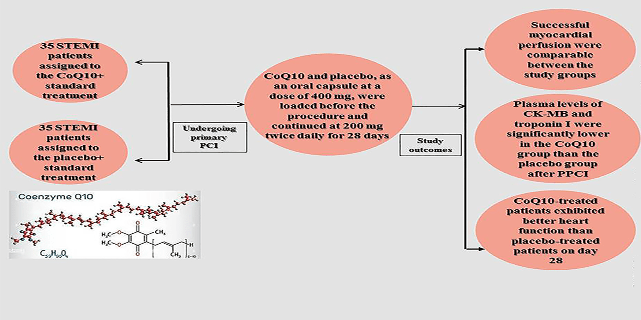 Cardioprotective Effects of Coenzyme Q10 Supplementation on Patients