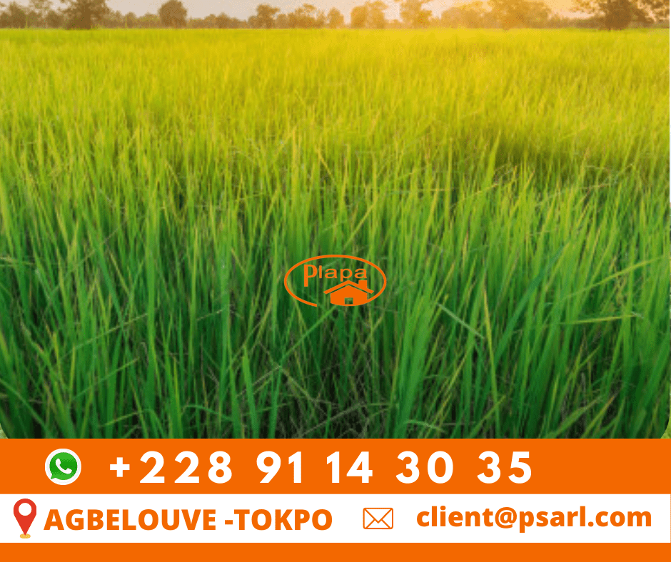 Land for sale Plapa LLC