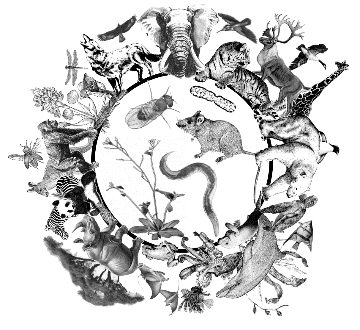 Call for Papers and Participation Biodiversity Call for Papers and Participation Biodiversity