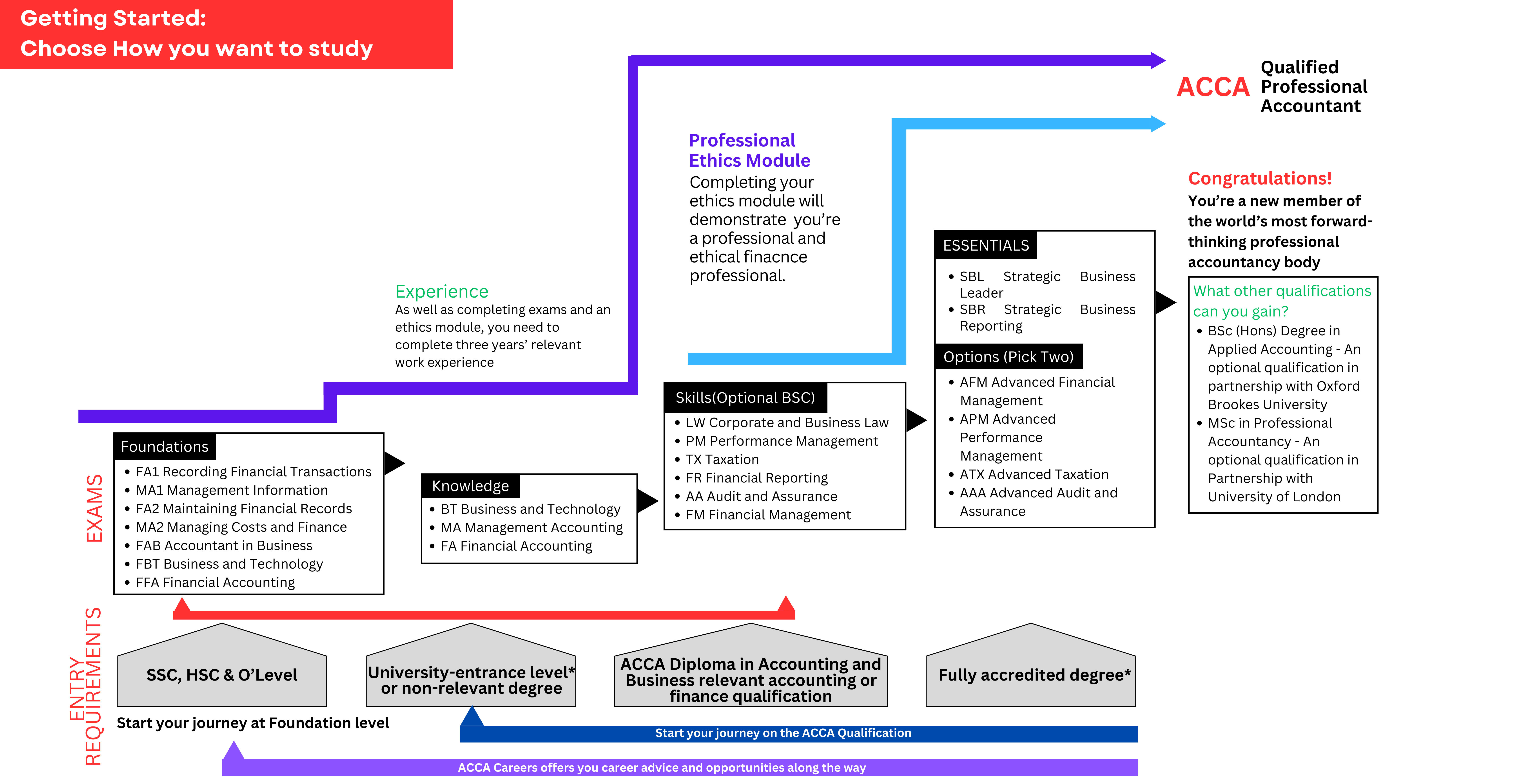 Association of Chartered Certified Accountants(ACCA) Professional