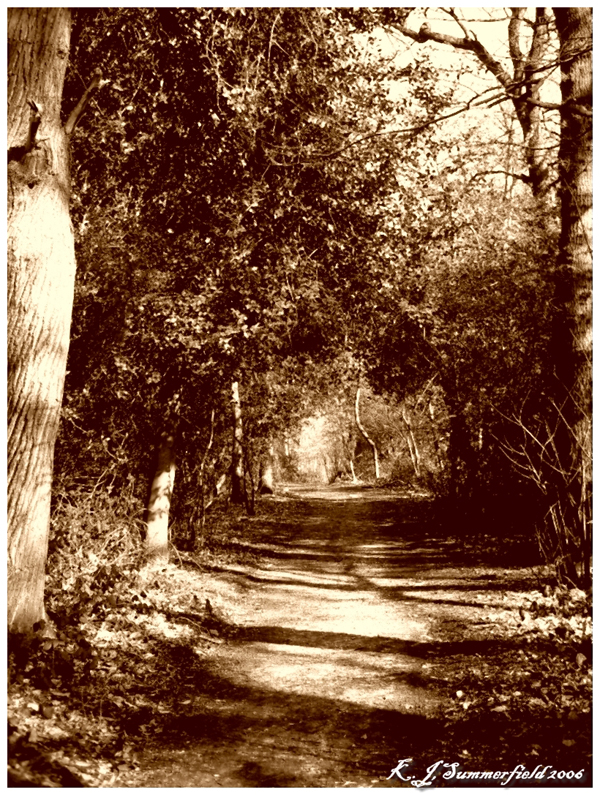 30 Beautiful Examples of Sepia Photography PSDFan