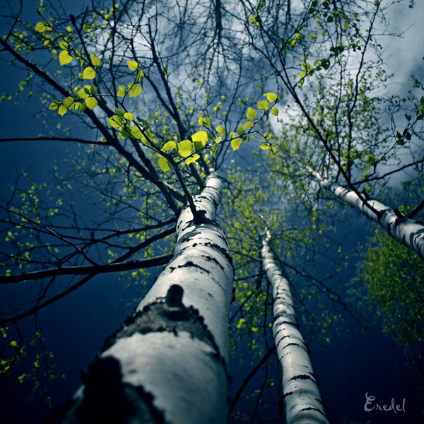 30 Vibrant Examples of Spring Photography PSDFan