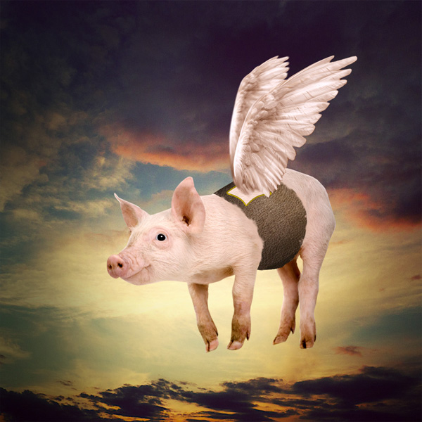 Photo Manipulate a Cute Flying Pig Scene DF Share
