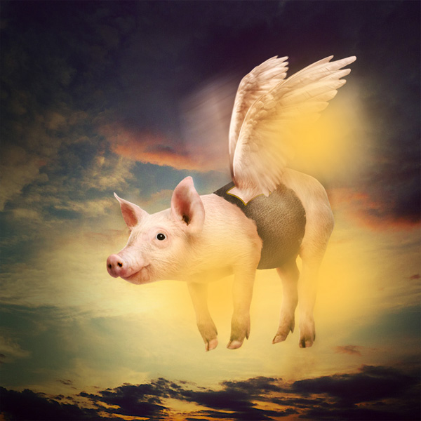 Photo Manipulate a Cute Flying Pig Scene PSDFan