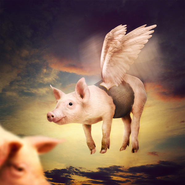 Photo Manipulate a Cute Flying Pig Scene PSDFan