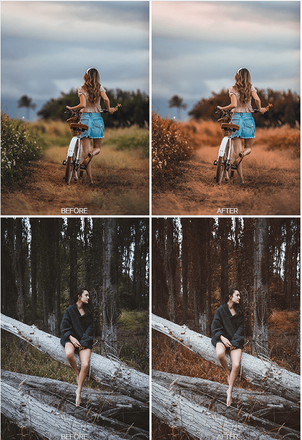 Film simulation lightroom presets