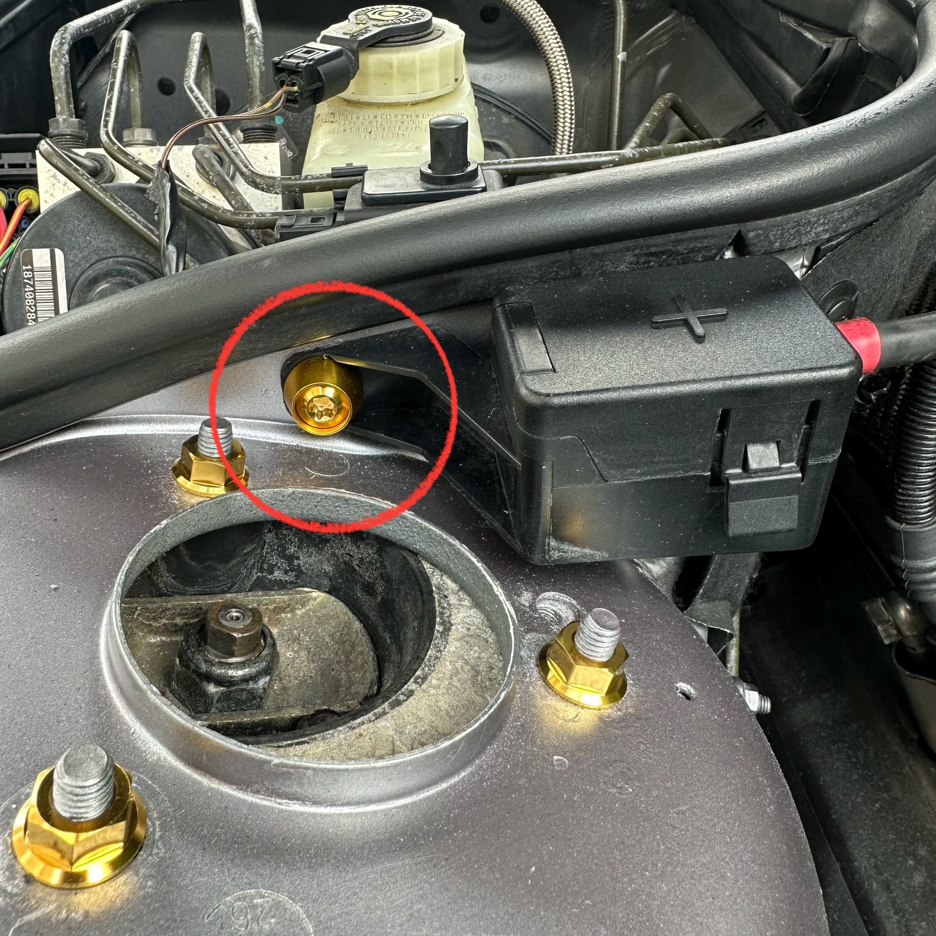 PSDesigns BMW E46 Titanium Jump Terminal and Bulkhead Hardware