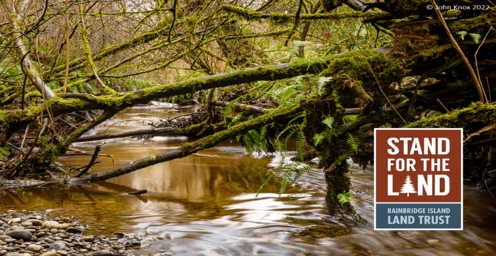 Bainbridge Island Land Trust announces additional protected land near