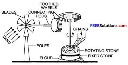 PSEB 10th Class Science Important Questions Chapter 14 Sources of