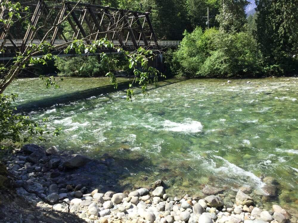 Where to spot salmon Fraser Valley Pacific Salmon Foundation