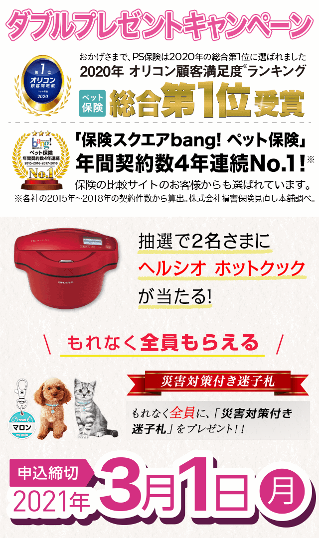 プレゼントキャンペーン 2月｜イベント・キャンペーン｜ペット保険の「PS保険」少額短期保険ペットメディカルサポート株式会社