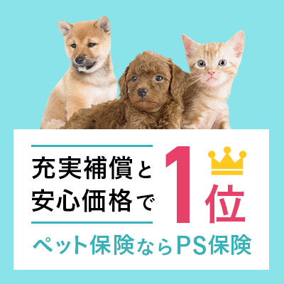 ペット保険「PS保険」の口コミ Vol.34 ペット保険の「PS保険」少額短期保険ペットメディカルサポート株式会社