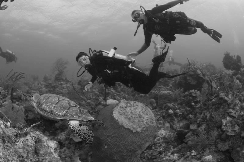 Bunn talks tests, travel The Paw Print