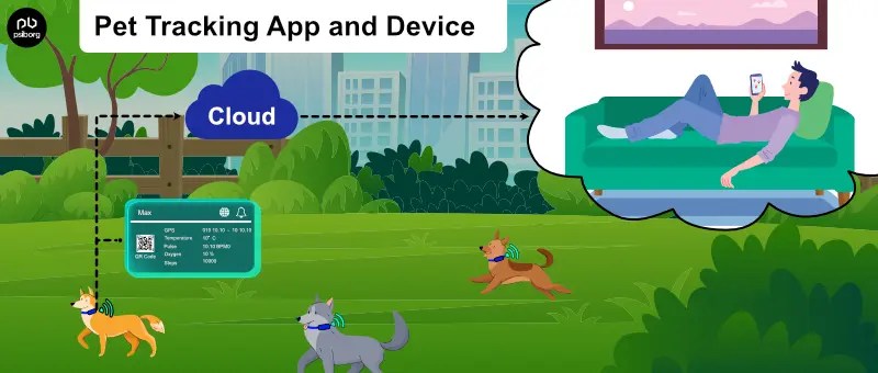 Pet Tracking App and Device For Enhancing Pet Safety
