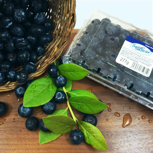Varieties of Berries Procurement Solutions International