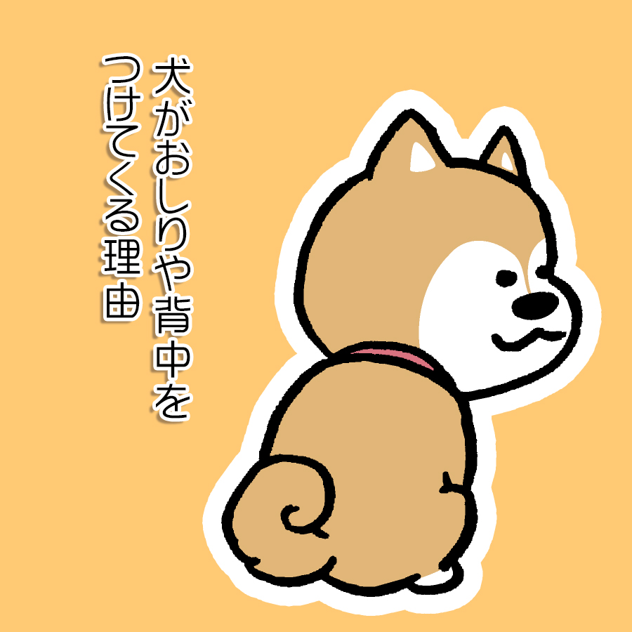 犬が飼い主にお尻をくっつけて寝ることの意味 犬がおしりや背中をくっつけてくる理由は？犬の信頼を示す行動7選！