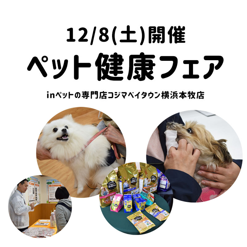 【12/8開催】ペット健康フェアに行ってきたinペットの専門店コジマベイタウン横浜本牧店｜犬の総合情報サイト ペットスマイルニュースforワンちゃん