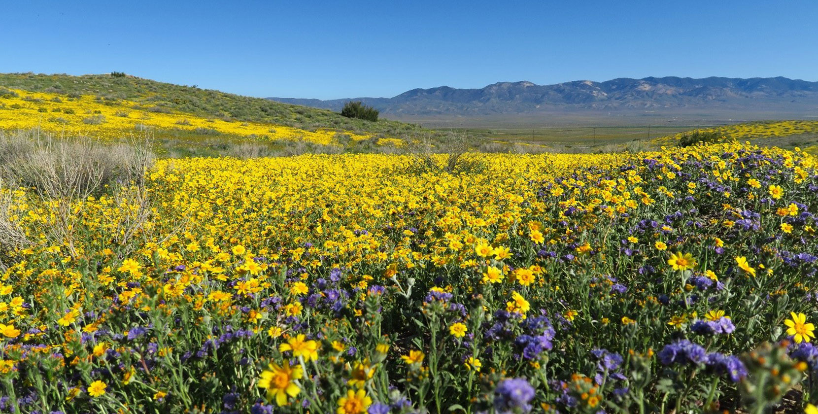 Centennial at Tejon Ranch Psomas