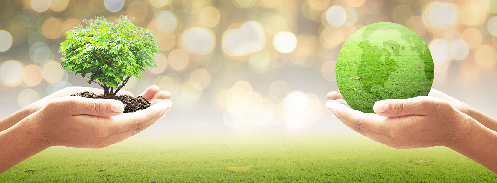 Environmental Psomas