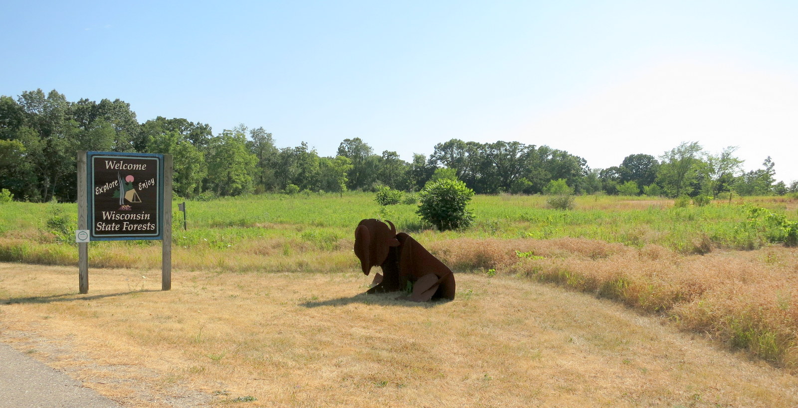 Kettle Moraine Forest Travel Perspective