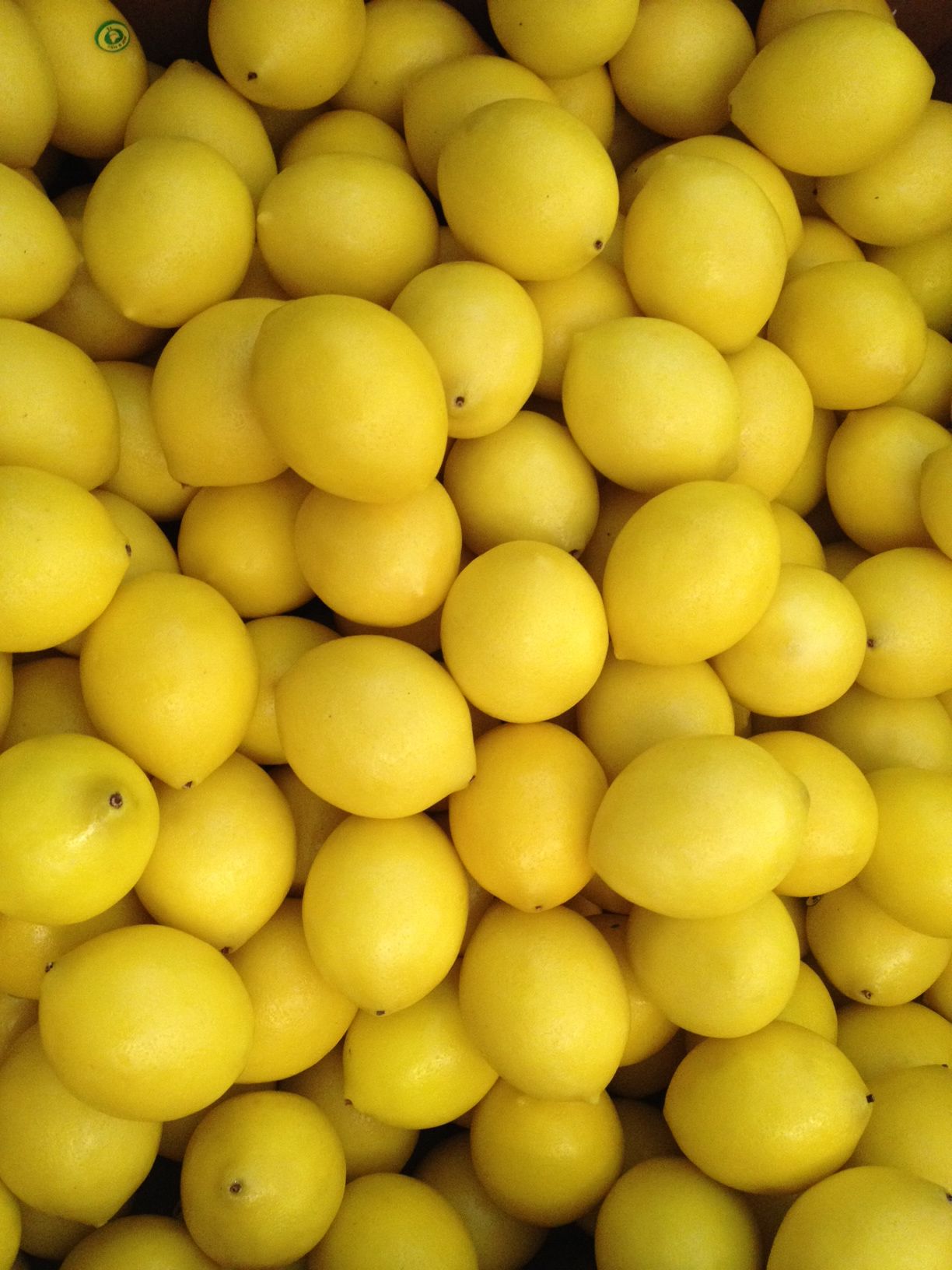Artificial Natural Handmade Lemons Pack of 16