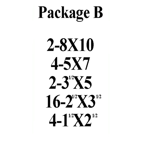 MINERSVILLE AREA SCHOOL DISTRICT