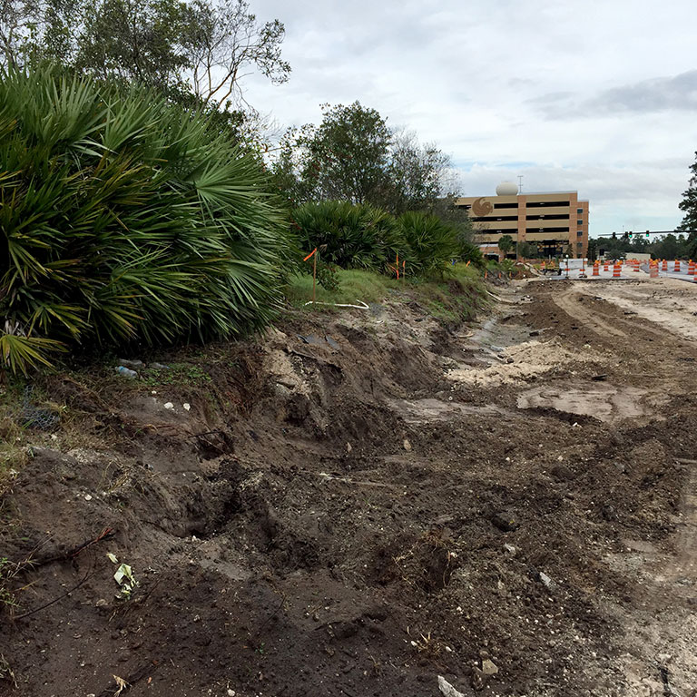 Land Surveying Orlando PSquared Survey Company