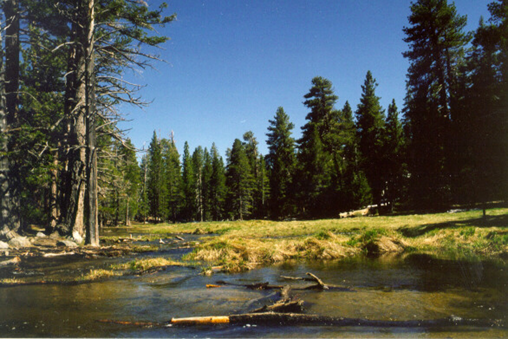 Long Valley View Palm Springs Aerial Tramway